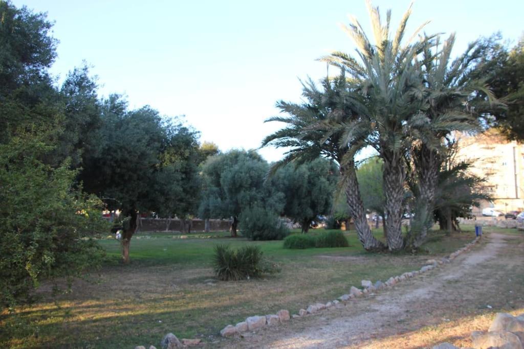 Apartamento Tesoro Del Eden Torrevieja Exterior foto